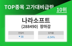 [26일 마감주] 고가대비급락 상위10종목 10위  나라소프트  업종내 비교