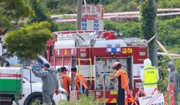 국내 첫 아프리카돼지열병 발병...전국 돼지고기 경매가 32.9%↑