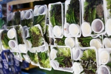 [축제 GO!] 제15회 횡성 한우축제 마지막날 ②