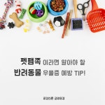 [공감신문 교양공감] 펫팸족이라면 알아야 할 반려동물 우울증 예방 팁