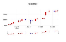 쌍용양회우 주가(003415)정보, 24일 오늘거래가 13100원