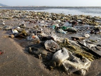 해양 오염 심각…인천 앞바다에서 쓰레기 400톤 수거