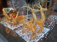 스테이지파이브, 11월 4일 스테이지 5G 스마트폰 출시