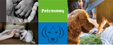 주식회사 펫코노미, 꽃보다개 애플리케이션 베타버전 출시