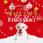 도그마루 크리스마스 이벤트 최대 50% 할인 진행