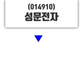 12월 24일 성문전자주식시황 -0.95% 변동