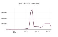 12월 26일 셀바스헬스케어주식시황 -8.63% 변동