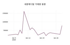 세종메디칼주가, 30일 -4.90%변동