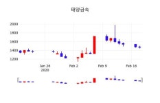 태양금속, 19일 0.00%변동폭 보여
