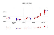 나이스디앤비, 20일 -3.17%변동