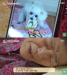 `동물농장` 은비 할머니 개공장에서 태어나 죽어가는 것 살렸다