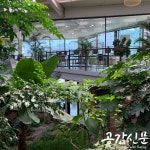 [박기자의 오후] 파주 마장호수에서 본 우리나라 대형카페 유형