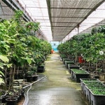 [박기자의 오후] 까탈스러운 작물 커피 원두, 어디서 올까?