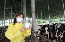 유라이크코리아, 스마트축산 ESG 경영 도입... 환경센서 농가 2,000여곳 무상 보급