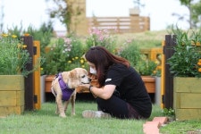[입법공감] 동물병원 진료비 투명화...수의사법 개정 봇물
