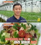 [예능공감] 서민갑부 네잎클로버를 식용으로? 케이크에 하나 올려보자 싶어