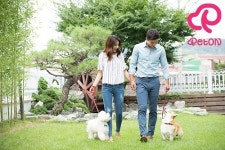 펫온, 반려동물 커뮤니케이션 정보 안내 플랫폼 펫온앱 출시 예정