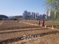 남양주시 농업기술센터, 친환경 도시 텃밭 분양