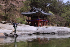 [윤일원의 맹꽁깨千] 친구가 죽으면 그냥 그렁그렁 울어라