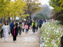 양평군, 한국 관광 100선 두물머리‧물래길 걸으며 힐링