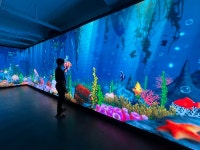 푸름 엘엔티, 어썸뷰 선보이며 이벤트 진행