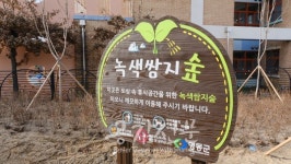 영동군, 미세먼지 차단과 생태환경 개선 위한 녹색 정책으로 도심과 산업단지에 새로운 생명 부여