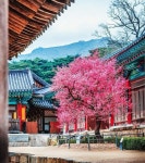 [윤일원의 맹꽁깨千] 역사의 거울, 약소국의 서러움