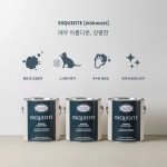 던 에드워드, 프리미엄 인테리어 페인트 익스퀴짓 라인 강화