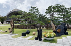 산불 흔적을 예술로… 정창이 작가, 회복의 숲 기획전 참여