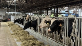 농업인의 날, 멈추지 않는 손길로 지켜낸 우유의 신선함