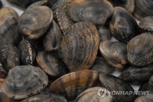 수산물 유통업체 간부, 횡령 혐의로 집행유예 선고… 법원의 판단은?