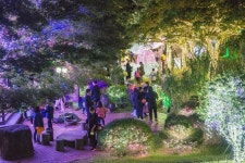 가을밤, 허브동산에서 즐기는 별빛 축제 / 제주 허브동산, 사탕 나눔 행사 진행