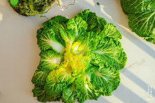 봄동을 먹으면 몸에서 일어나는 일 / 요즘 난리인 제철 봄동, 효능은?