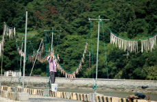 수천 년 시간이 빚어낸 바다의 정원 / [서 기자의 경리간 길] 관매도