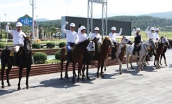 제주 말산업특구 지정…서귀포시 테마파크 등 조성키로