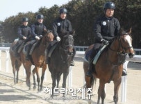 제주 말산업인력개발원, 말 조련사 심화과정 수강생 모집
