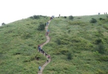 서귀포시, 큰병악・갑선이오름 탐방로 정비사업