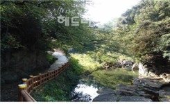 안덕면, 자연환경보전 시설사업 추진...1억5천만 투입