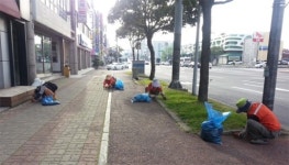 용담1동, 관내 서광로, 남성로 인도변 제초작업 및 환경정비