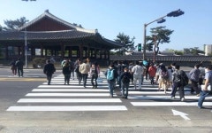 제주시 관덕정 앞 횡단보도에 교통신호기 설치