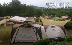 여름휴가, 서귀포 모구리야영장으로 오세요