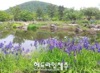 제주 붉은오름자연휴양림, 숙박.편의시설 확충