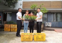 농협서귀포시지부, 꽃 2천본 복지센터·학교에 전달