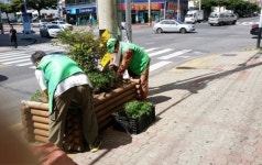 삼도2동, 사계절 꽃피는 거리 조성활동 전개