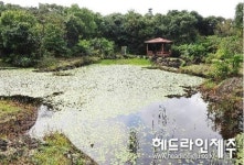 제주 선흘1리, 생태관광 성공모델로 탈바꿈한다