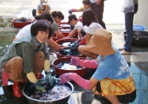 설문대여성문화센터, 초록이 묻어나는 천연염색 교육
