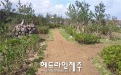 제주 삼양3수원지, 생태휴식공간으로 재탄생