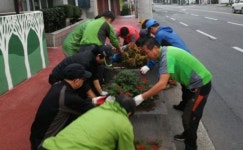 삼도1동, 전국체전 대비 꽃길조성