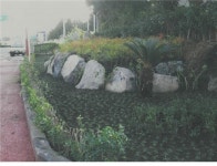 서귀포 법호촌마을회, 마을 진입로 꽃동산 조성