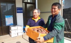 서홍동 마을회, 경로당 어르신에 고구마 제공